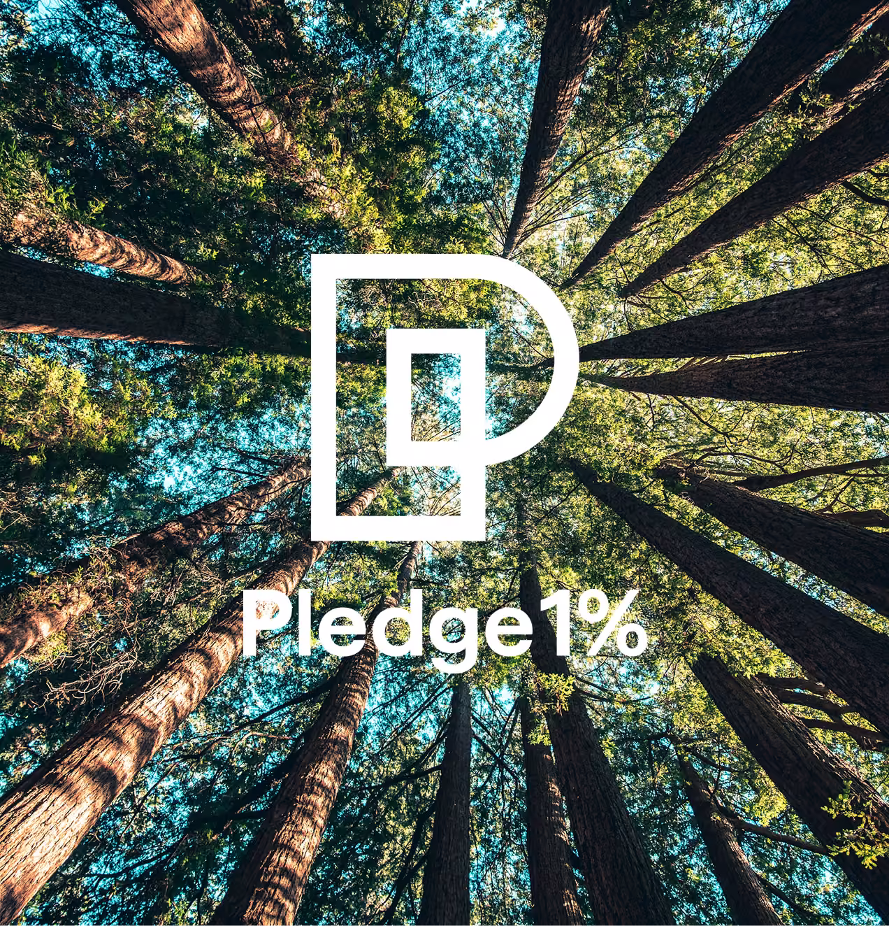 One Percent Pledge